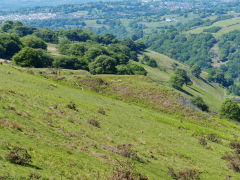 Nant-y-Cnyw level, June 2013